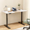 Artiss Standing Desk Motorised Electric Dual Motor 120CM