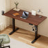 Standing Desk Motorised Dual Motor Electric Walnut 140CM