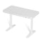 Standing Desk Motorised Electric Desks Drawer 120CM White