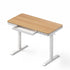 Artiss Motorised Standing Desk with Storage Drawer 120cm Wood White