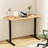 120CM Artiss Electric Standing Desk Sit Stand Desks Home Office Computer Desk