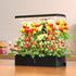 Green Fingers Hydroponics Growing System with LED lights