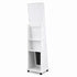 Artiss Jewelry Cabinet Frameless Full Length Mirror with Wheels, White