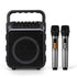 Portable Karaoke Machine with 2 Wireless Microphones Bluetooth 5.3