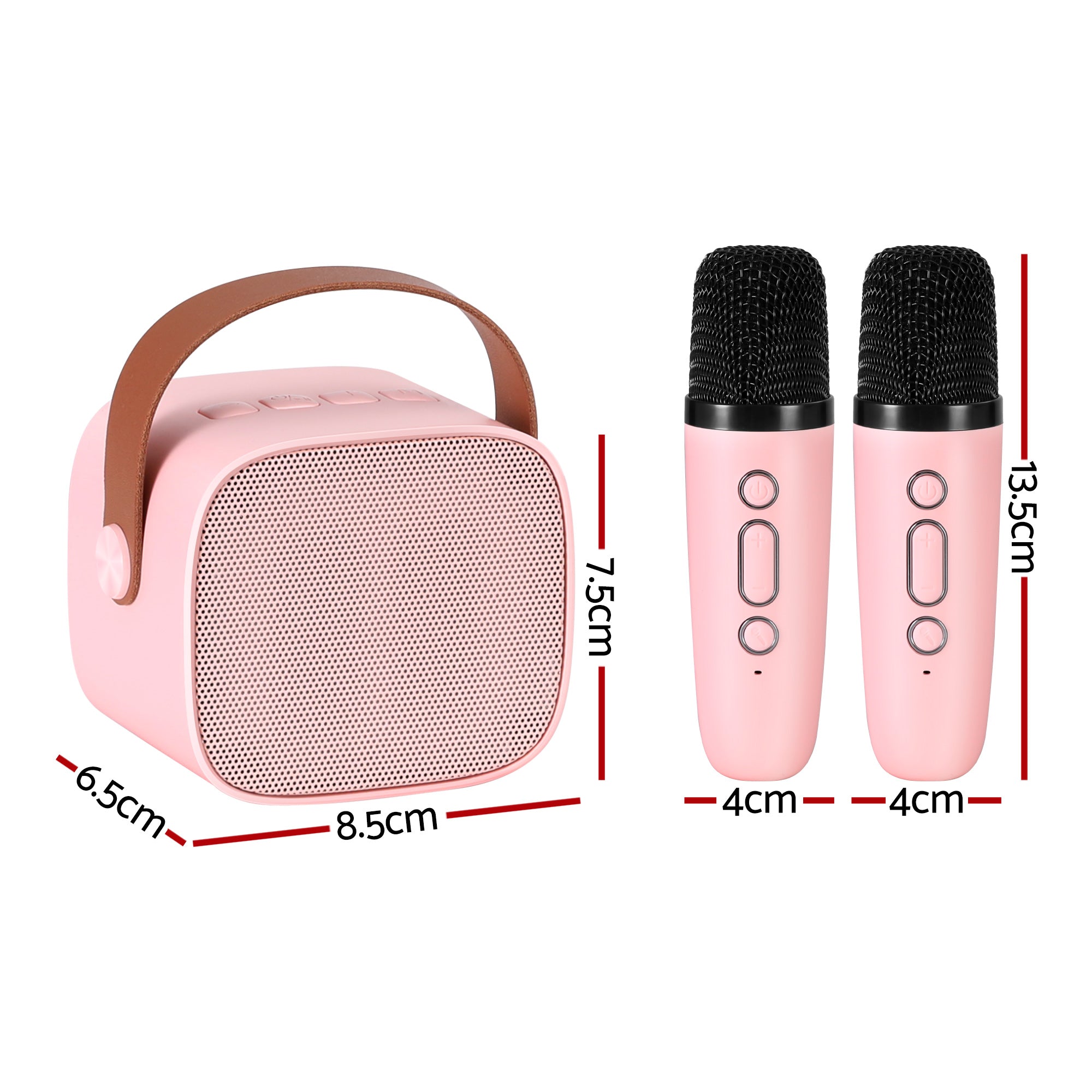 Mini Portable Karaoke Machine for Adults Kids with 2 Wireless Microphones