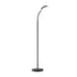 LED Floor Lamp – Remote Control, Adjustable Colour & Brightness, Gooseneck