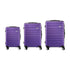 3PCS Luggage Suitcase Trolley Set Travel TSA Lock Purple