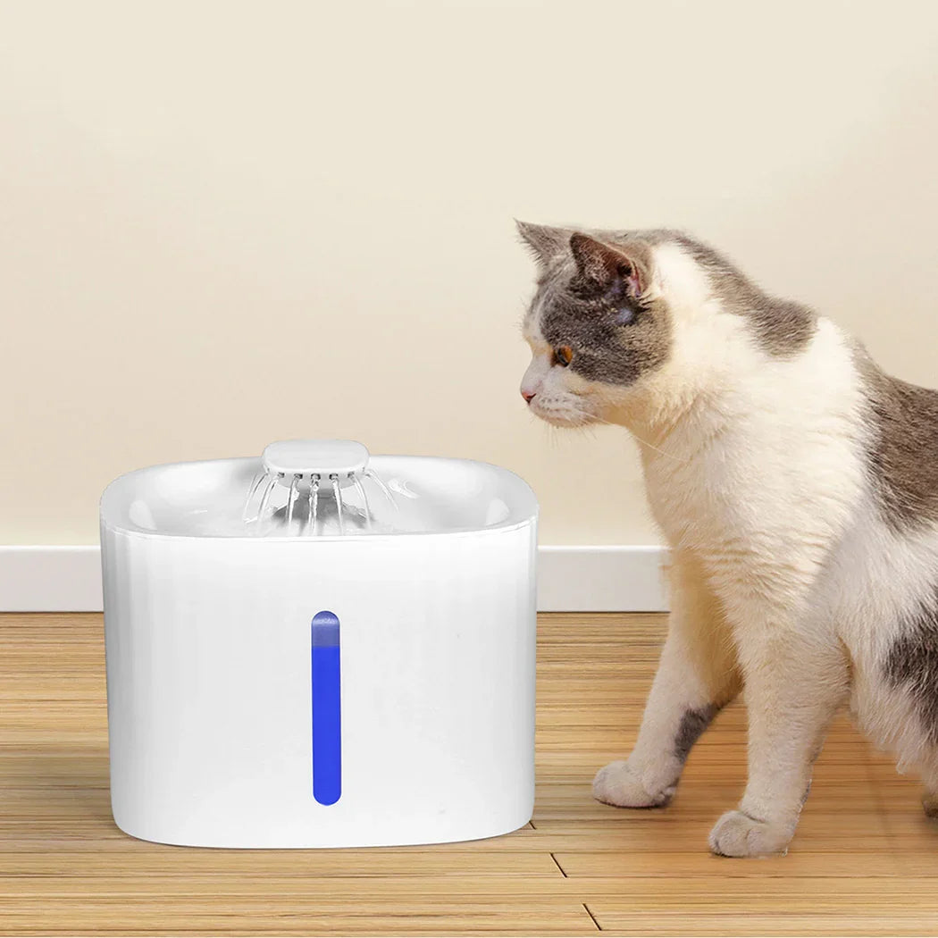 PAWZ Pet Water Fountain-2018816661620133894