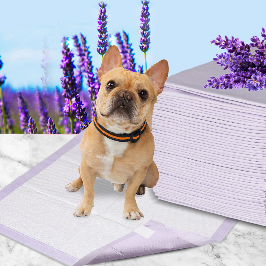 PaWz 100x Pet Dog Toilet Training Pad-2065254323645976582