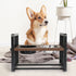 PaWz Adjustable Height Pet Feeder Elevated Medium-2018816712677396486