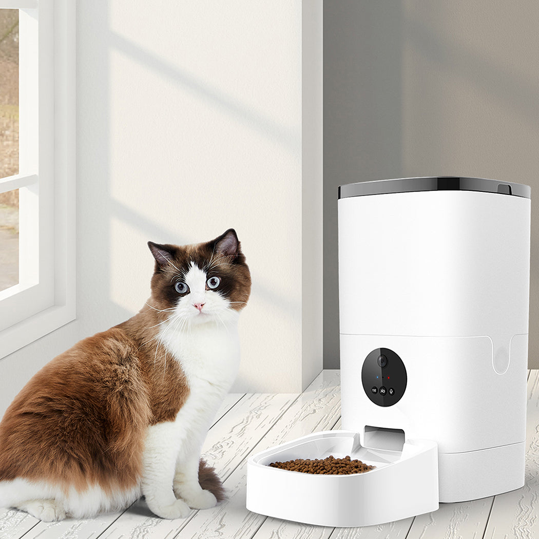PaWz 6L Auto Feeder Pet Automatic Camera-2018816890893373446
