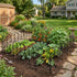 Mountview Decorative Garden Fence 5-Panel Animal Barrier Flower Edging Border-2072893570720862214
