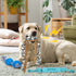 PaWz Dog Chew Toys Squeaky Puppy Pet-2029387302450630662