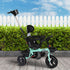 BoPeep Kids Tricycle Ride On Trike Toddler Green-1864184319485022214