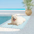 Pawz Pet Cooling Mat XL Blue-2006732884844613638
