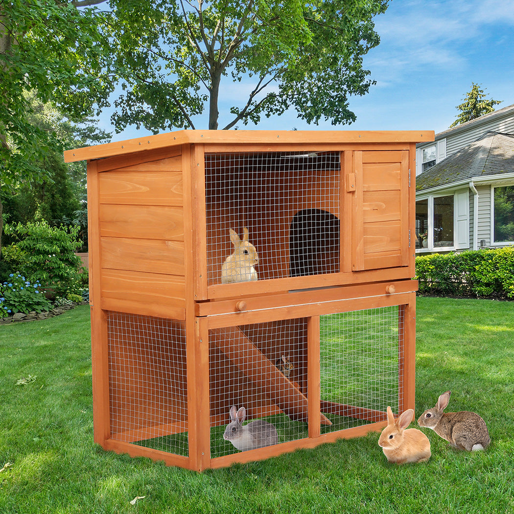 Pawz Rabbit Hutch