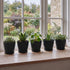 Toque Plant Pots 5 Pcs 8 Inchs Plastic Planter Pots with Drainage Saucers Black-2072893580812357638