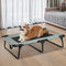 Pawz Pet Elevated Bed Dog Raised Trampoline Foldable Large M Size-1937319823830814726