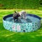 PaWz 160cm Pet Dog Swimming Pool Cat XXL XX-Large-1973193671532744710