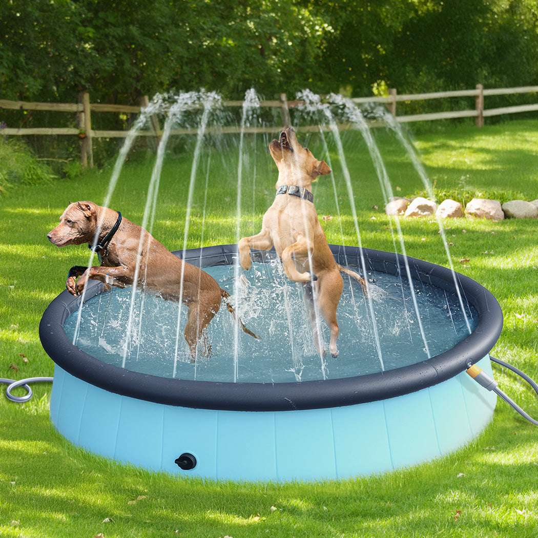Pawz Folding Dog Swimming Pool-1910112251076022278