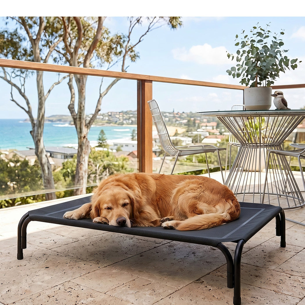 PaWz Raised Dog Bed Elevated Cooling Breathable Mesh for Indoor Outdoor Black-2100034993425354758