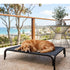 PaWz Raised Dog Bed Elevated Cooling Breathable Mesh for Indoor Outdoor Black-2100034993425354758