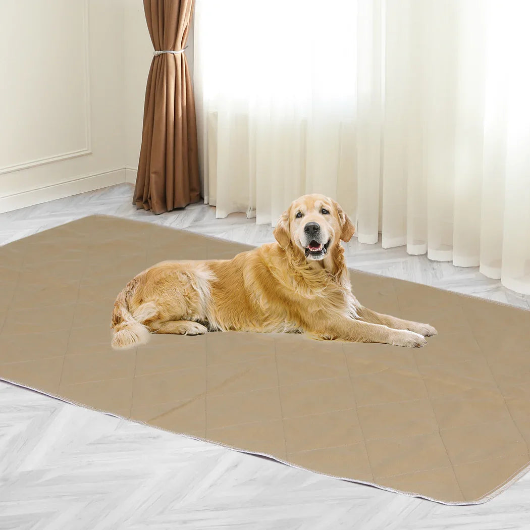 PaWz 2 Pcs 120x180 cm Reusable Waterproof KING-2029387253406633990