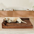 Pawz Orthopedic Dog Bed XXL Coffee-1894516776776110086