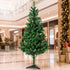 Santaco Christmas Tree 180cm Artificial Xmas Tree 483 PVC Tips Green-2100035037570404358