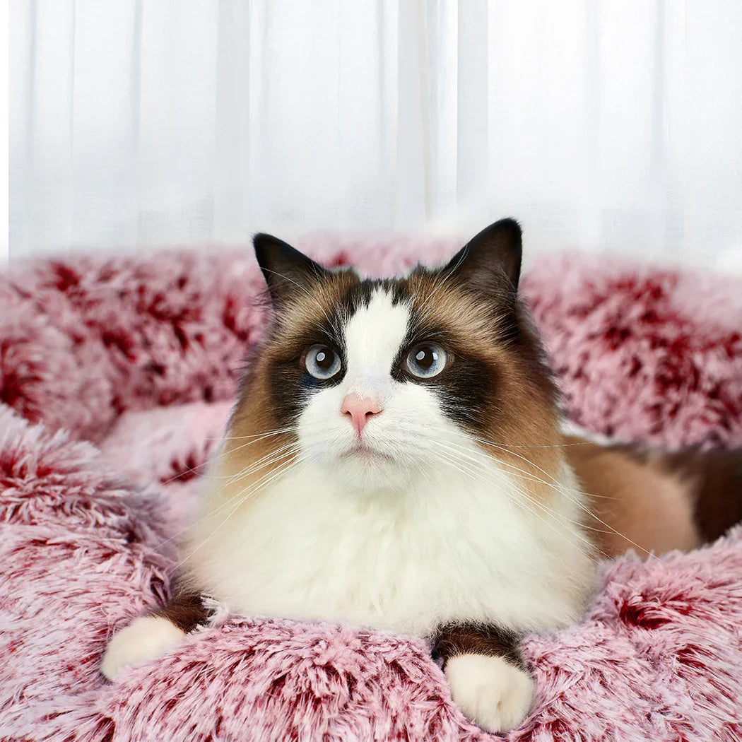 PaWz Pet Bed Memory Foam Dog Donut Pink Medium-2018816792675356678