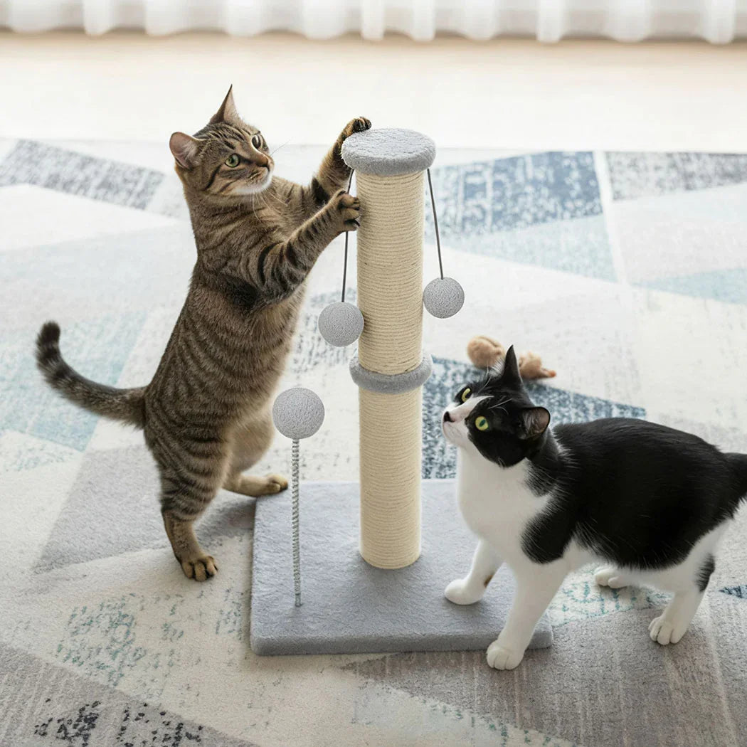 Pawz Cat Scratcher Tower Scratching Post-2006732788501450758