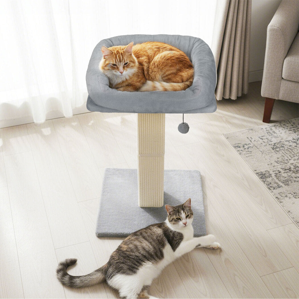 Pawz Cat Scratcher Big Perch Bed-2065254280360759302