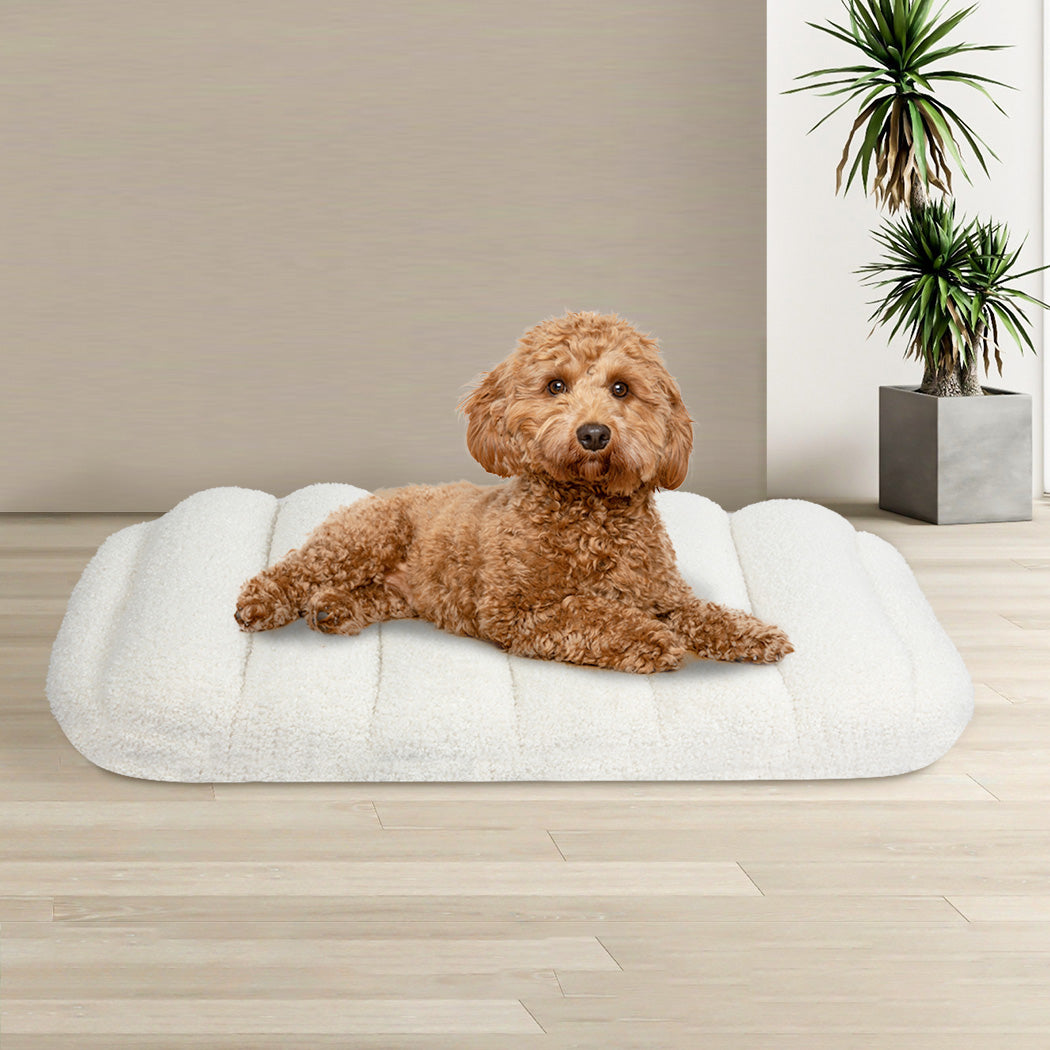 Pawz M Size Orthopedic Dog Bed with Sherpa Plush Removable Cover in White-1919892816901836806