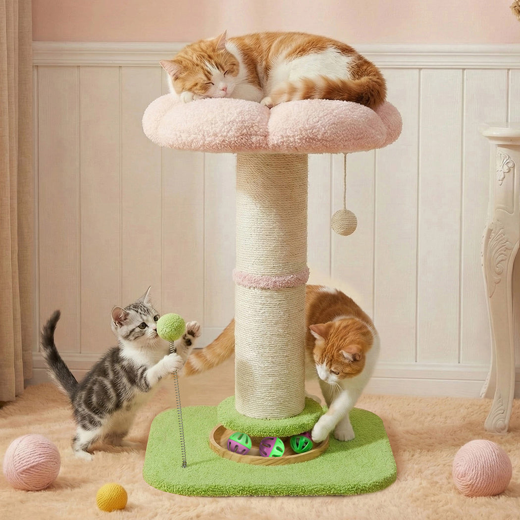 Pawz Cat Scratching Post Flower 61.5cm Cat Tree Tower-2065254675317395462
