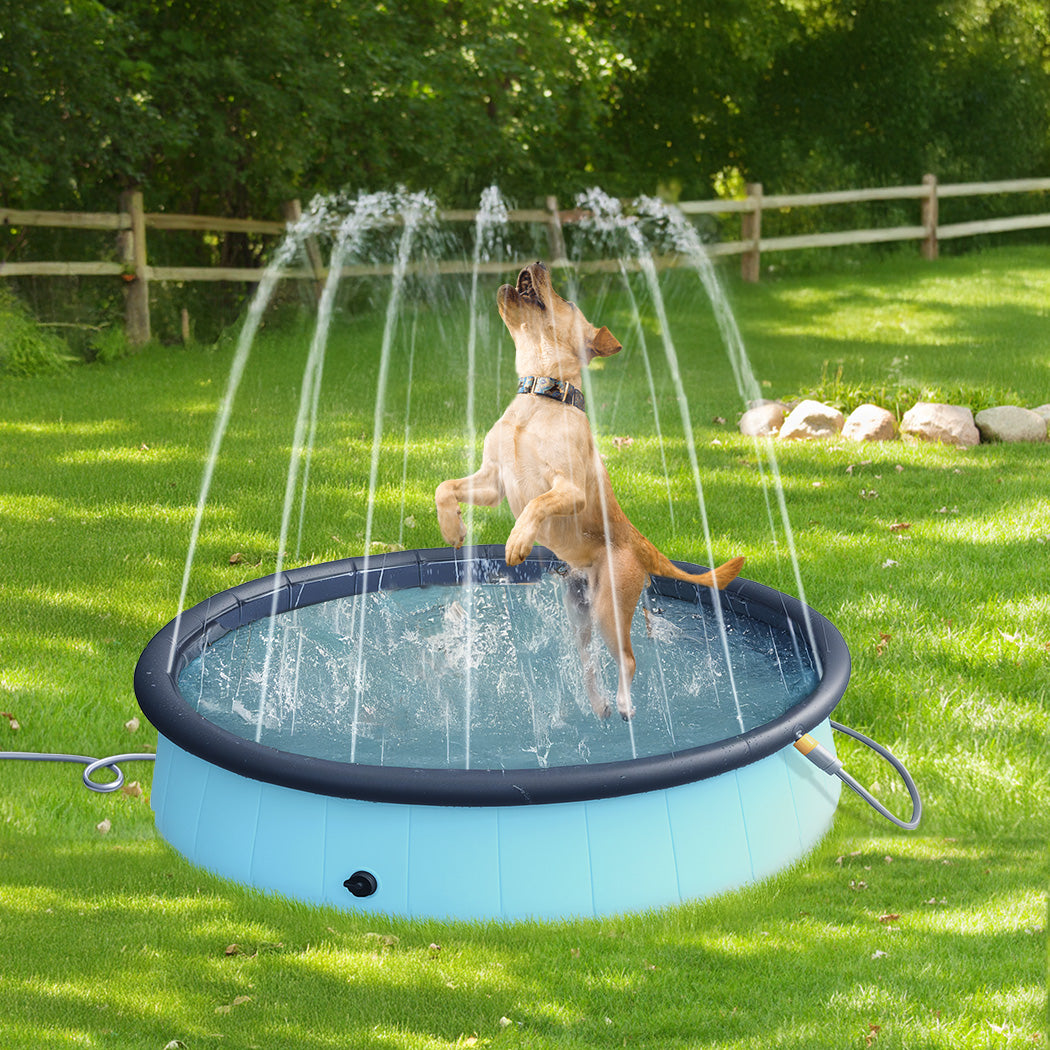 Pawz Folding Dog Swimming Pool-1910112250669174790