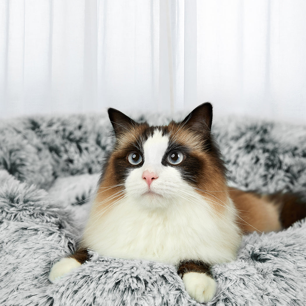 PaWz Pet Bed Memory Foam Dog Donut Charcoal X-Large-1864184559927693318