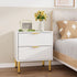 Levede Bedside Table with 2 Drawers White Metal Legs-2029387202869465095
