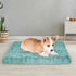 PaWz Dog Mat Pet Calming Bed Memory S Green Small-2018816643005812742