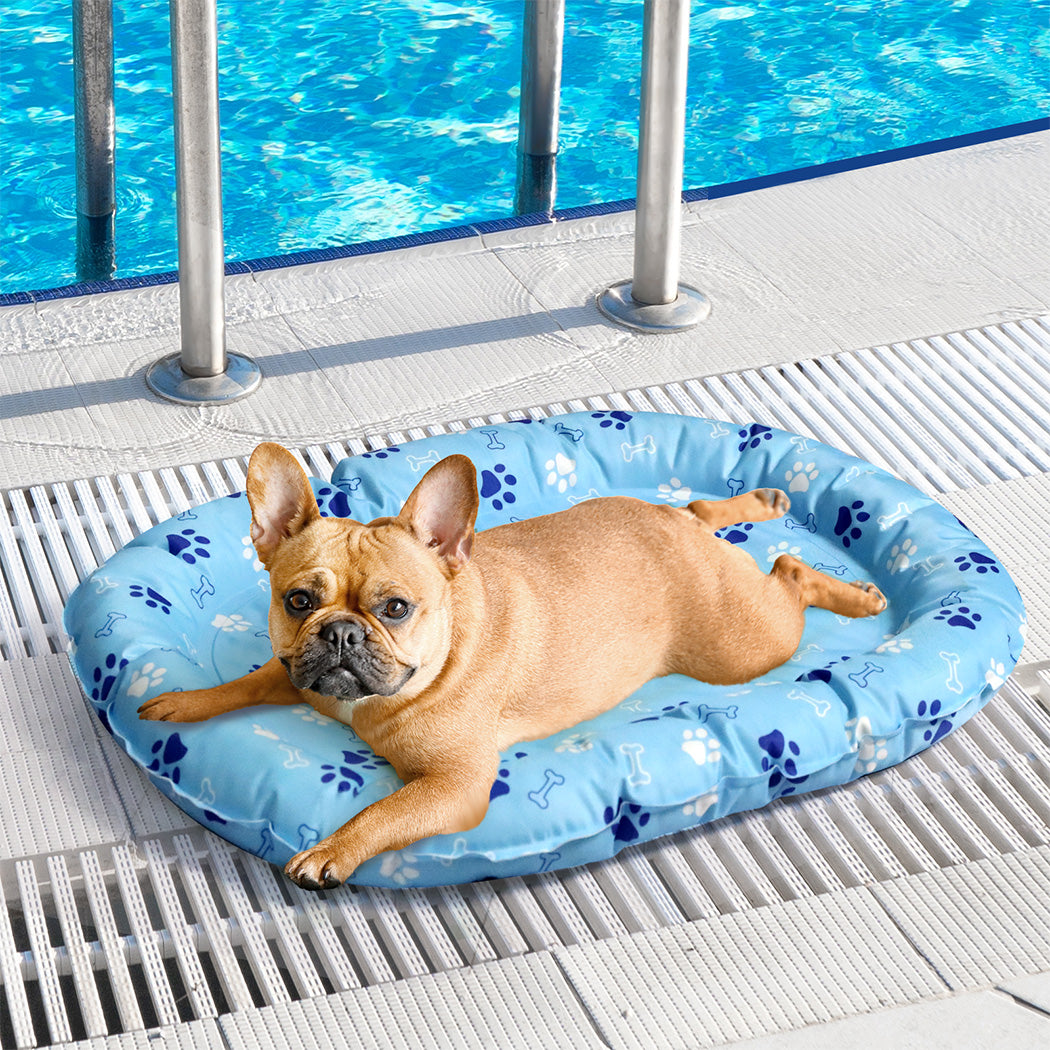 Pawz Pet Cooling Mat S Blue