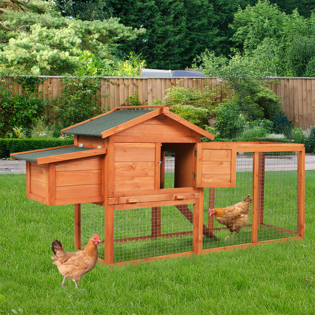 Pawz Rabbit Hutch