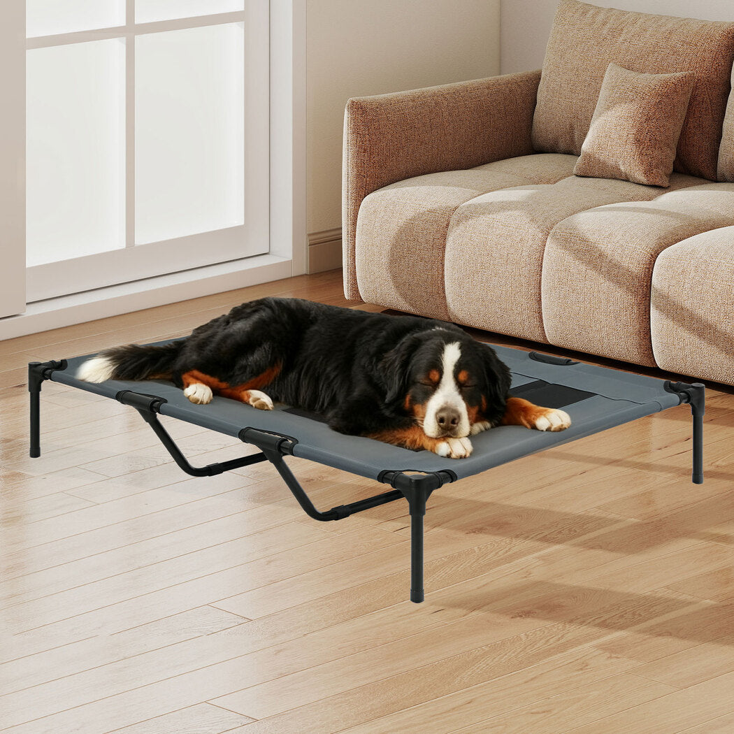 Pawz Elevated Pet Bed Raised Dog Bed Large Cooling Bed-2050056906868920326