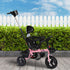 BoPeep Kids Tricycle Ride On Trike Toddler Pink-2006733203976622086
