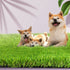 Marlow 40MM Artificial Grass Synthetic Realistic 1x20m-1886651032285614086