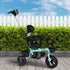 BoPeep Kids Tricycle Ride On Trike Toddler Green-2006733203813044230