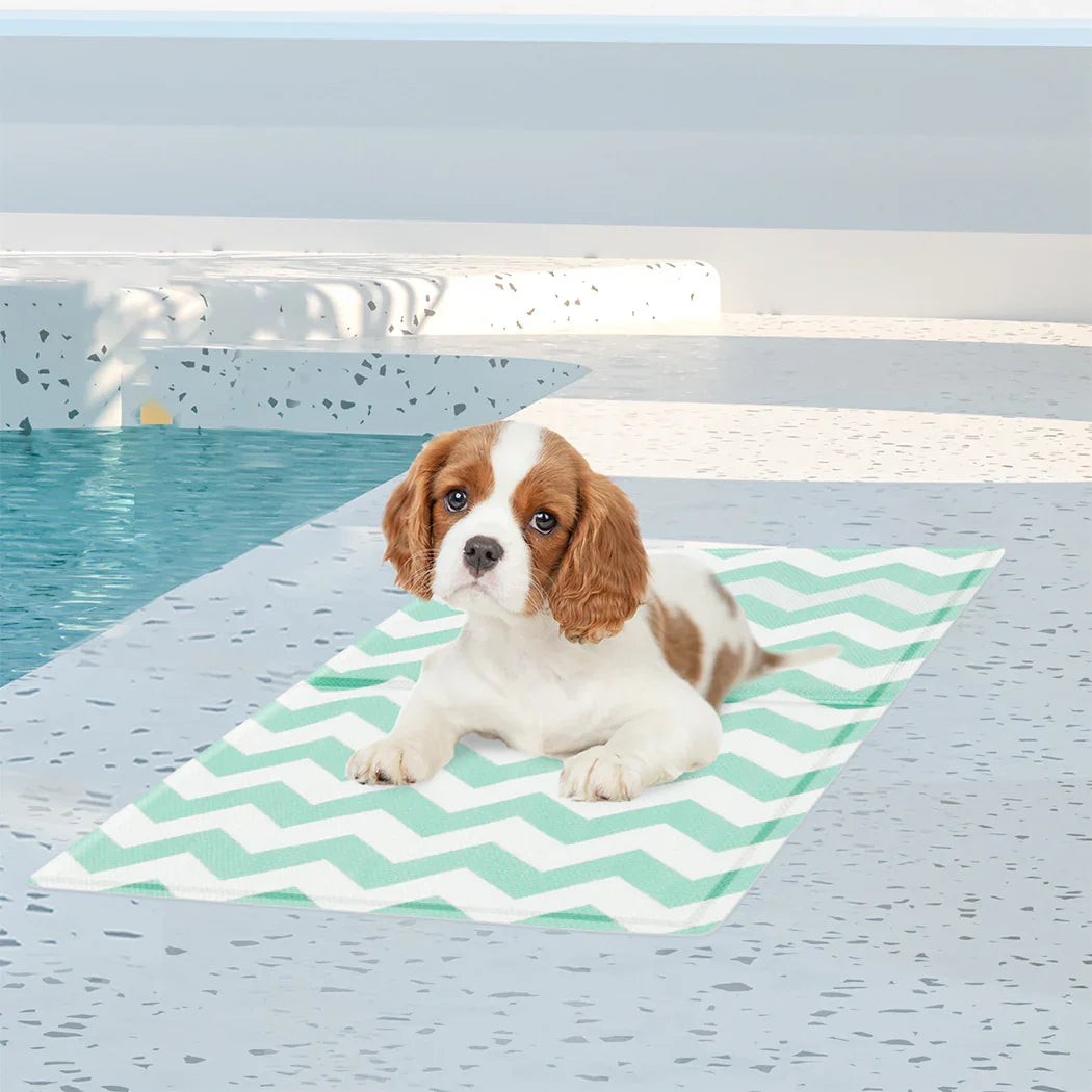Pawz Pet Cooling Mat S Green-2018816670147153926