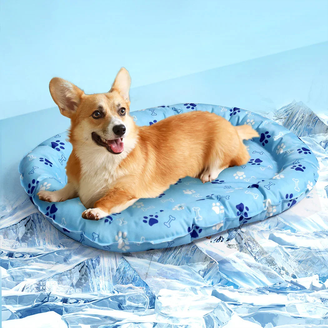 Pawz Pet Cooling Mat M Blue-2006732883607293958