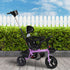 BoPeep Kids Tricycle Ride On Trike Toddler Purple-2006733204148588550