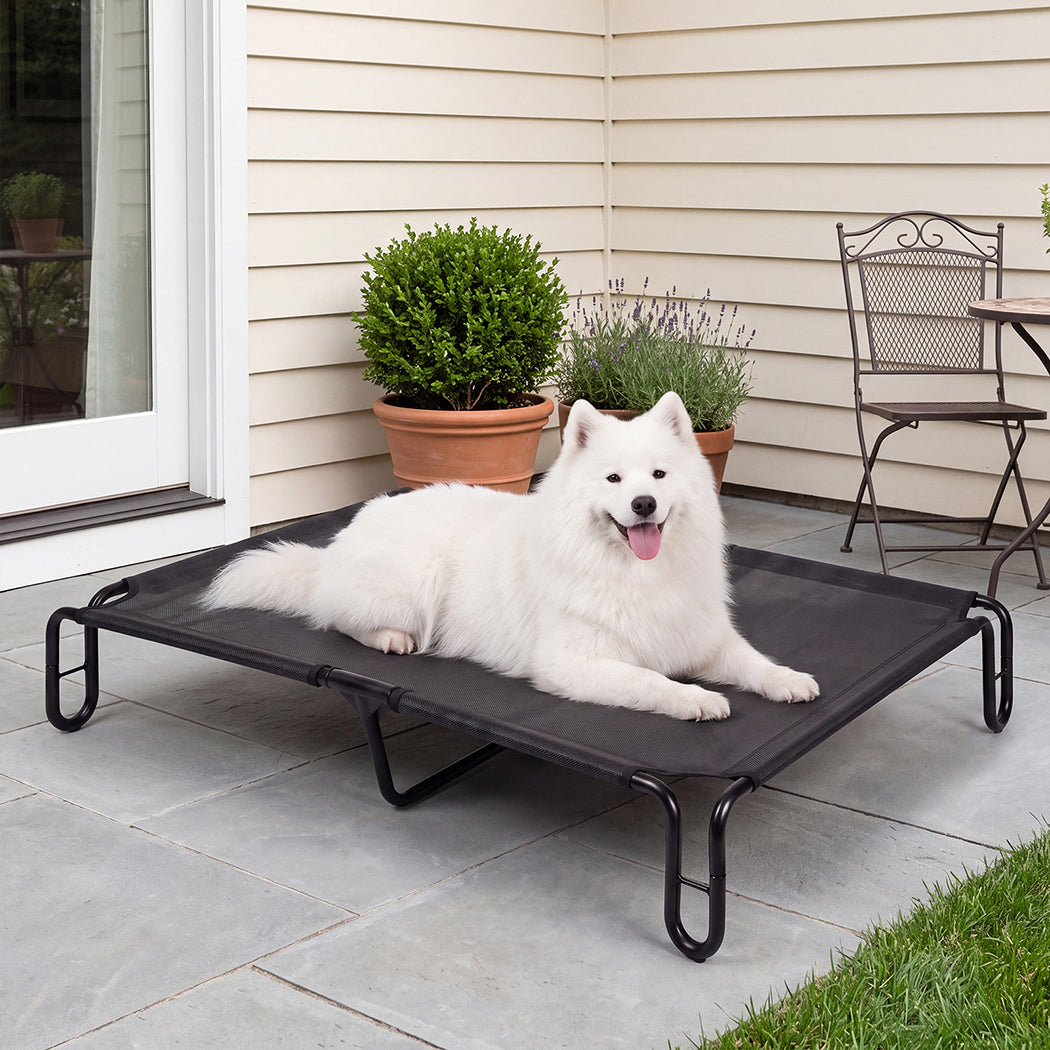Pawz Elevated Dog Bed M Breathable Mesh Cooling for Indoor Outdoor Black-2100034991567278086