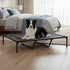 Pawz Elevated Dog Bed Heavy Duty Portable Cot  Waterproof Pet Raised Bed XL Size-2050056785804529670
