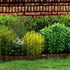 Mountview 10 Pcs Garden Fence Border Rustproof Metal-2050056905753235461